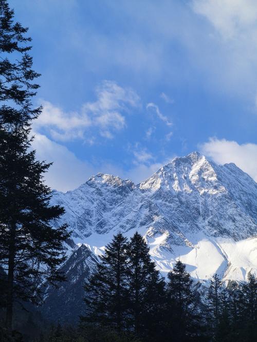 Multiple Hong Kong groups provide aid after Tai Po fire